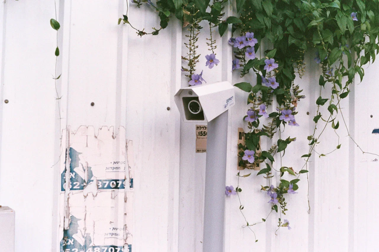AA011.jpg.webp