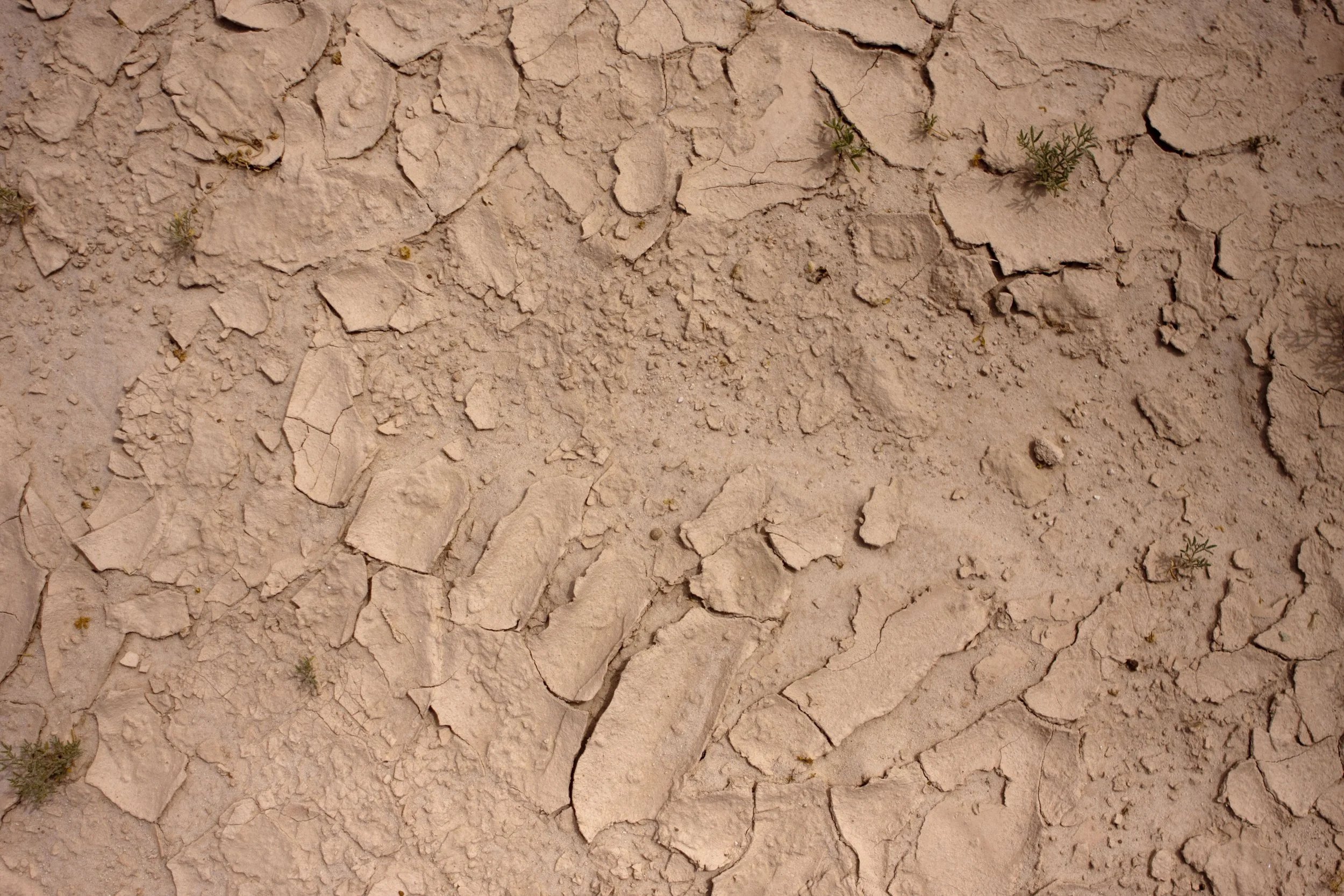 Timna Park cracked
