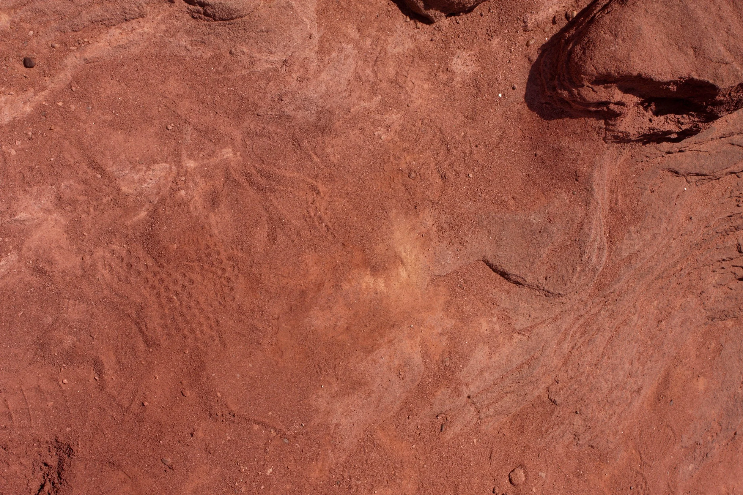 Timna Park red