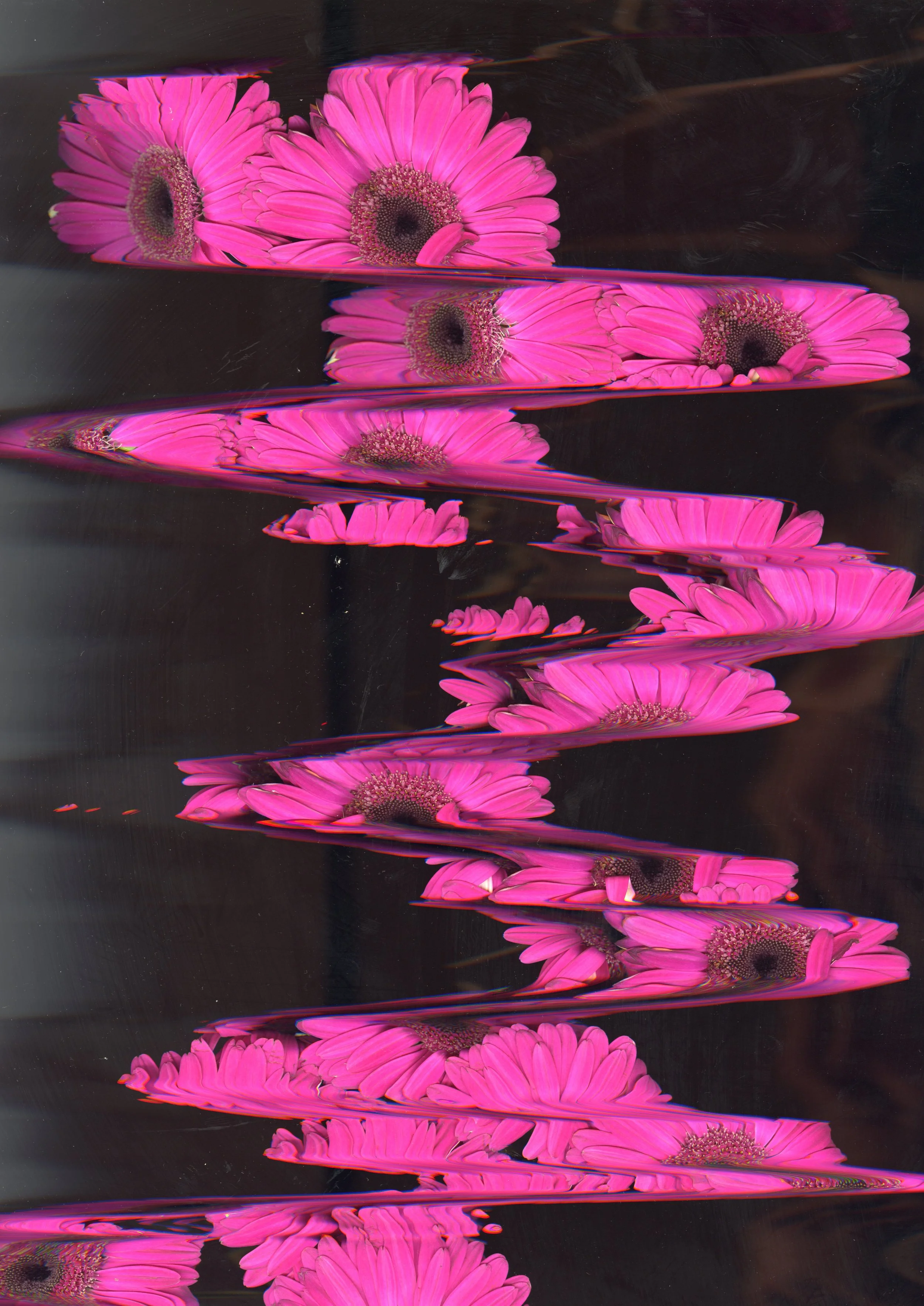 Scanography