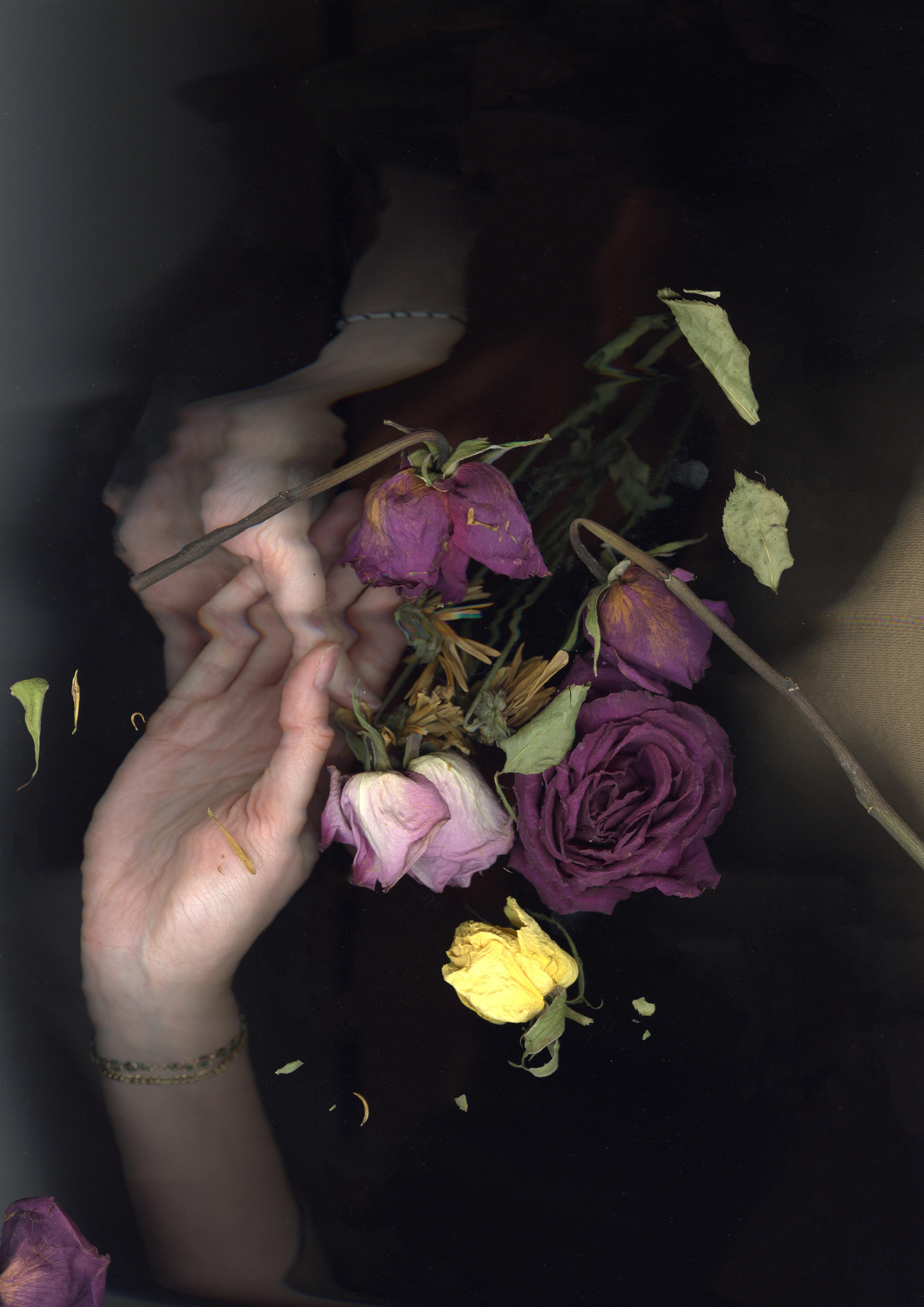 dead flowers.png
