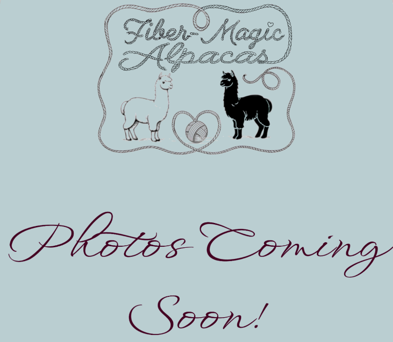 Coming Soon!