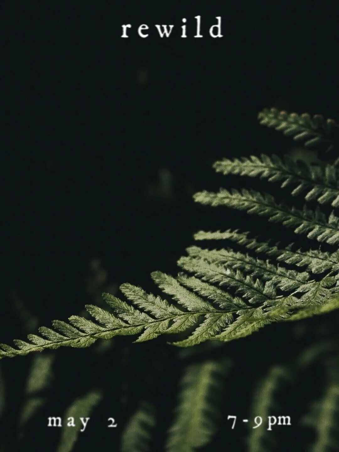 REWILD Workshop Series