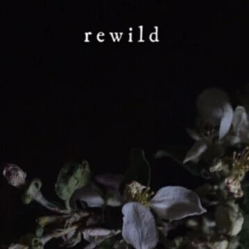 REWILD Workshop II