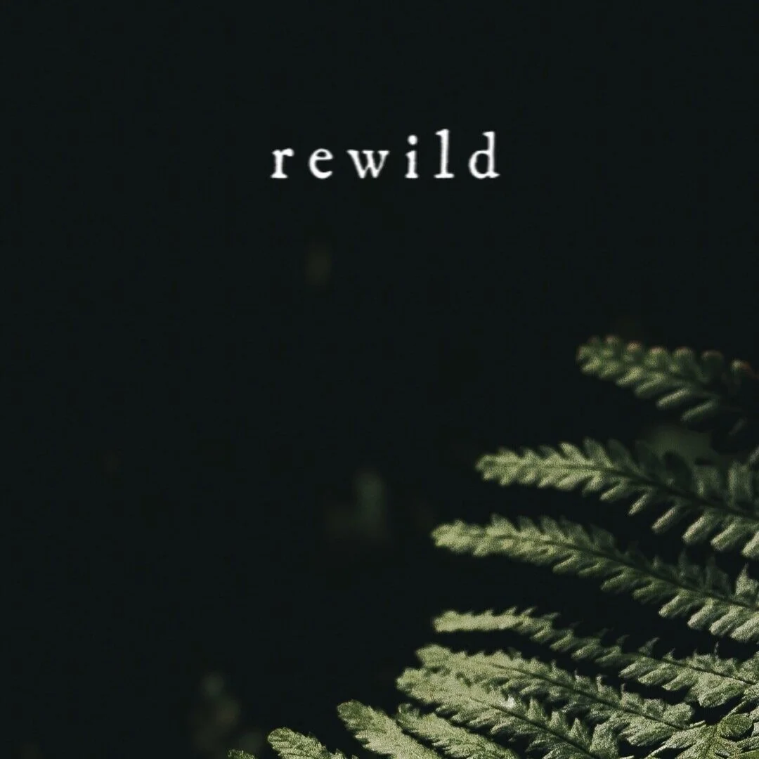 REWILD WORKSHOP (soldout)