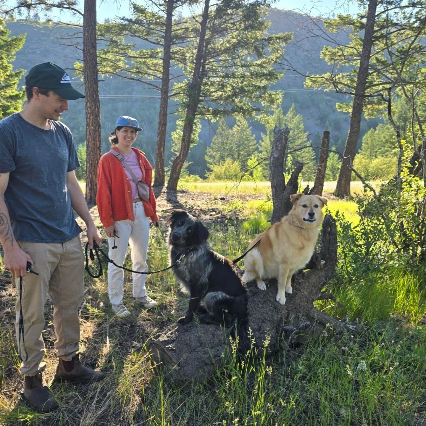 Dog Training Cranbrook BC, Mayook BC, Kimberly BC, Creston BC, Chris Urban, Dog Trainer, Agility, Board and Train, Dogs, Agressive Dogs, Reactive Dogs, E collar, Dog Trainer