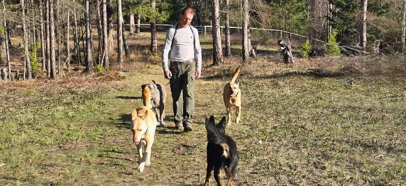 Dog Training Cranbrook BC, Mayook BC, Kimberly BC, Creston BC, Chris Urban, Dog Trainer, Agility, Board and Train, Dogs, Agressive Dogs, Reactive Dogs, E collar, Dog Trainer