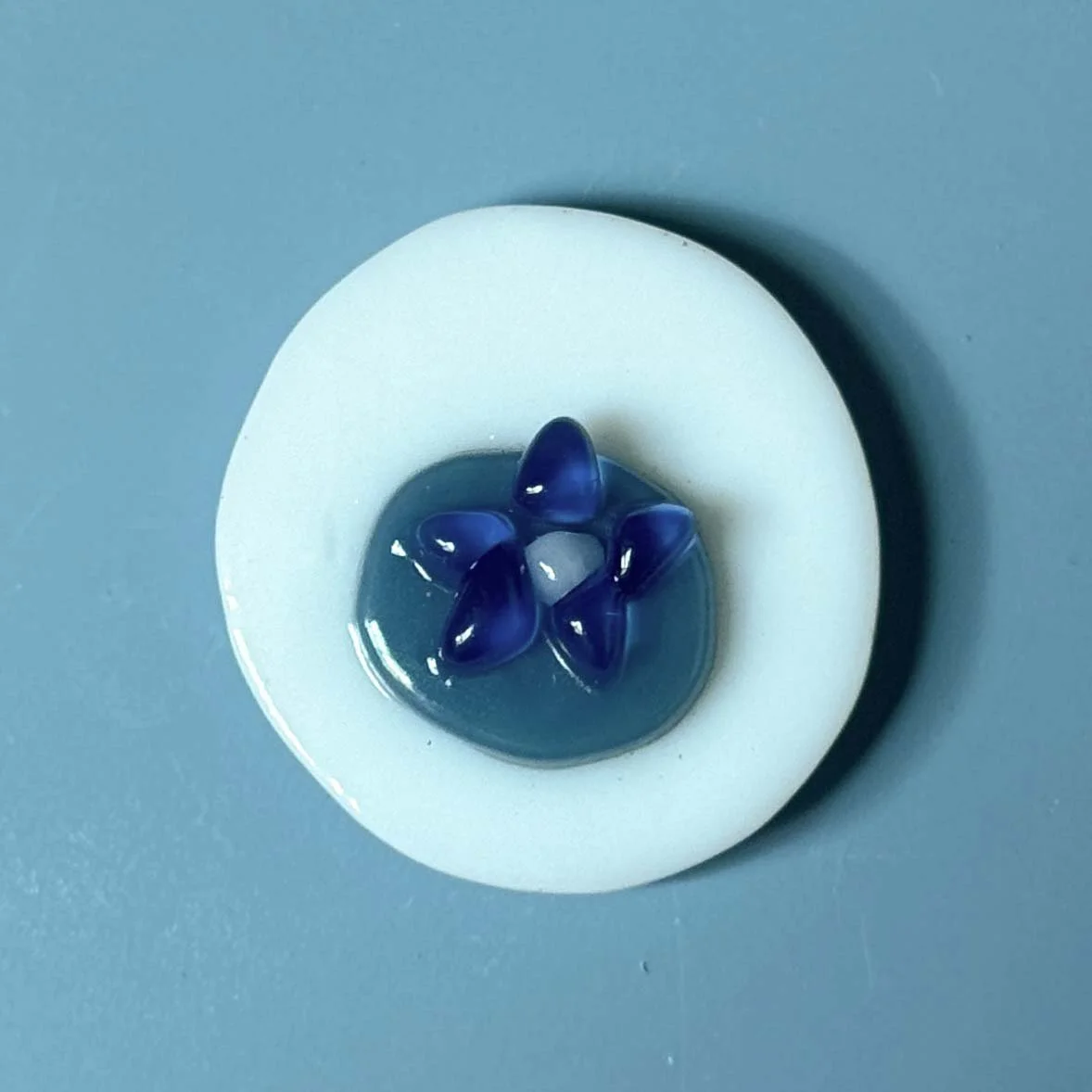 blueberrywhitebckg.jpg