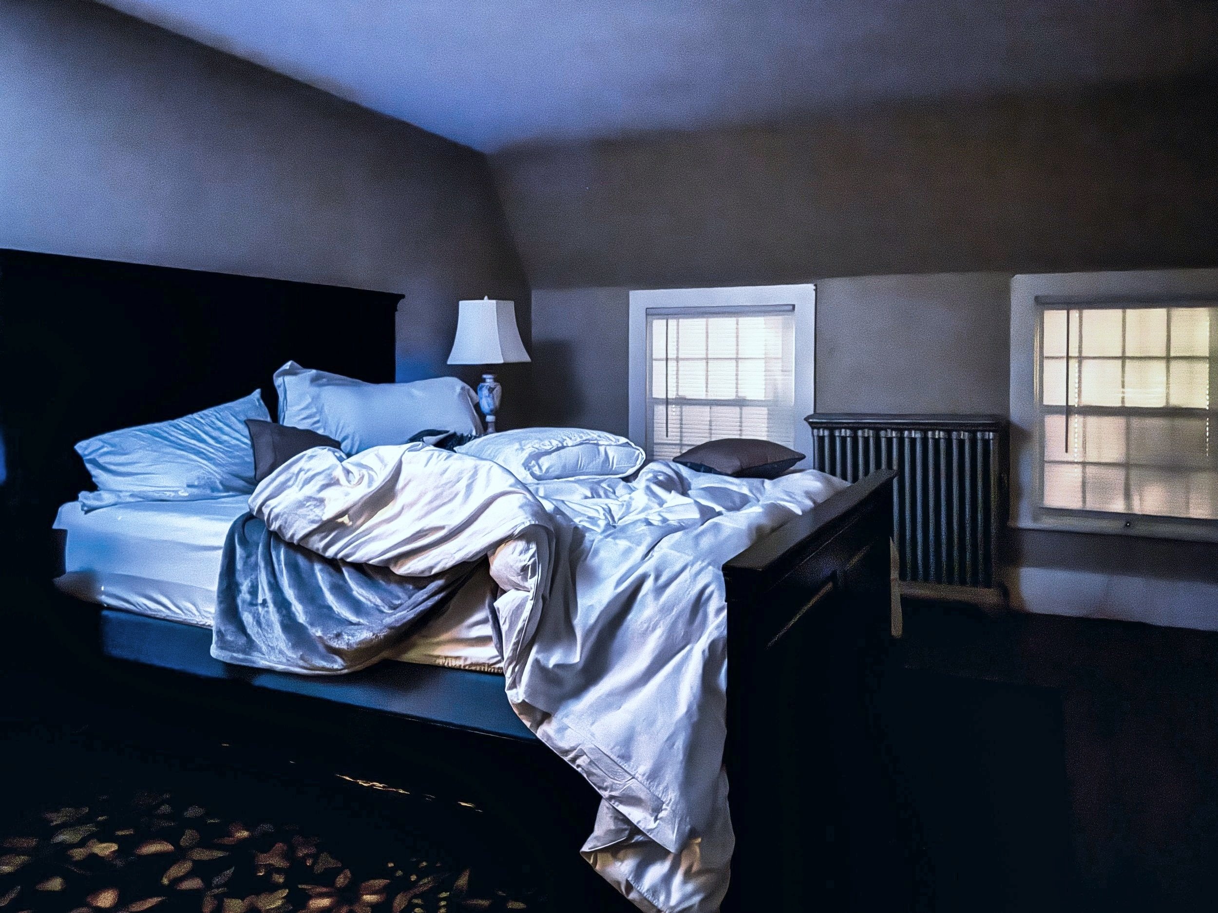 Dimly lit bedroom in haunted house, moonlight casting deep shadows across bed.jpg