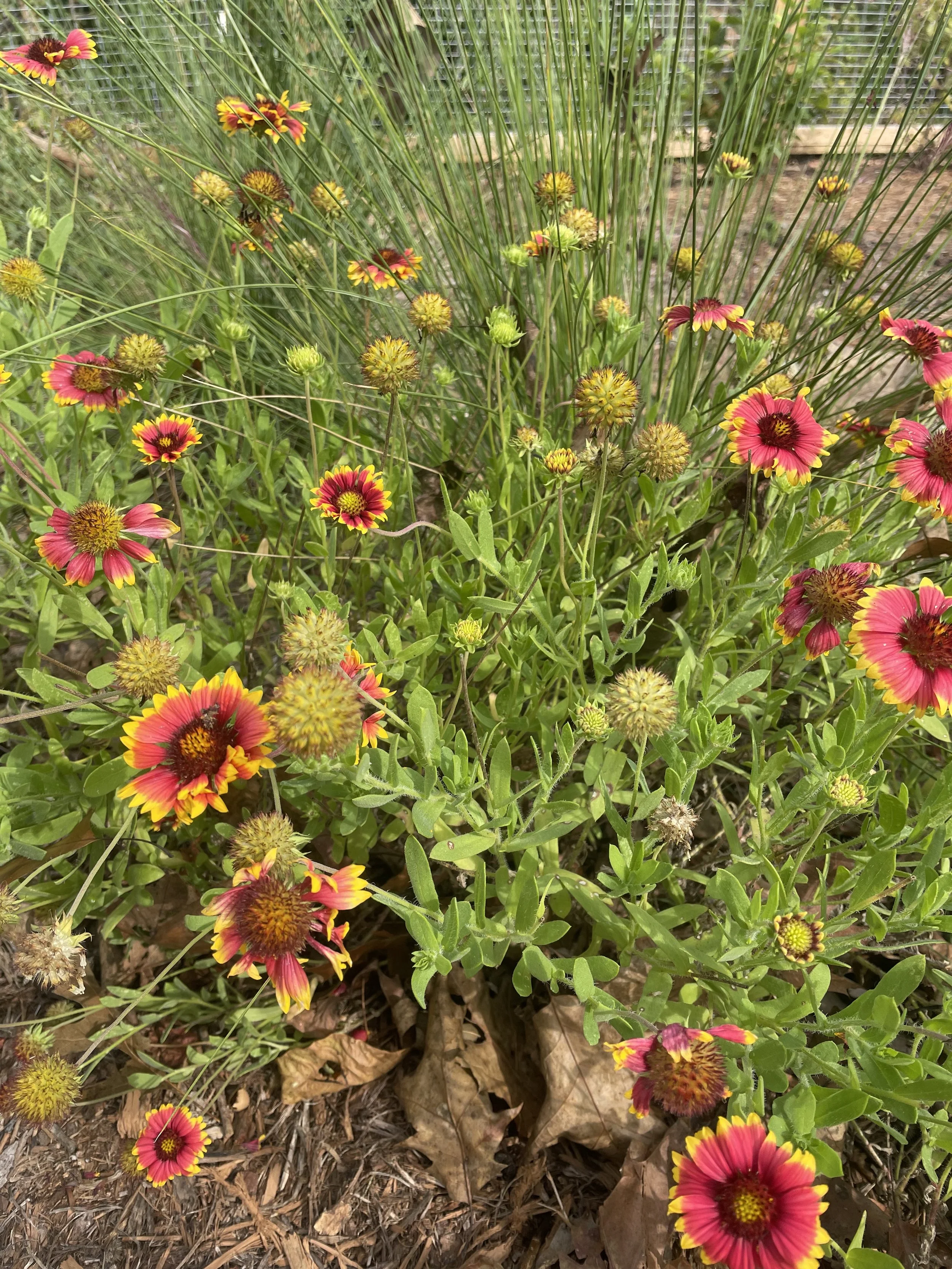 YOU DON’T NEED TO DO THE ABSOLUTE MOST TO GET RID OF PMS &amp; PAINFUL PERIODS