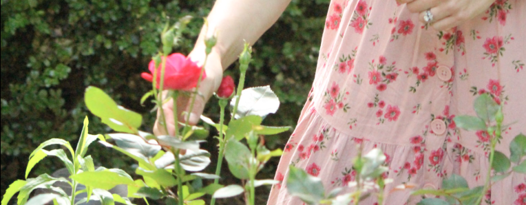 Flowers representing natural hormone balance and women's wellness