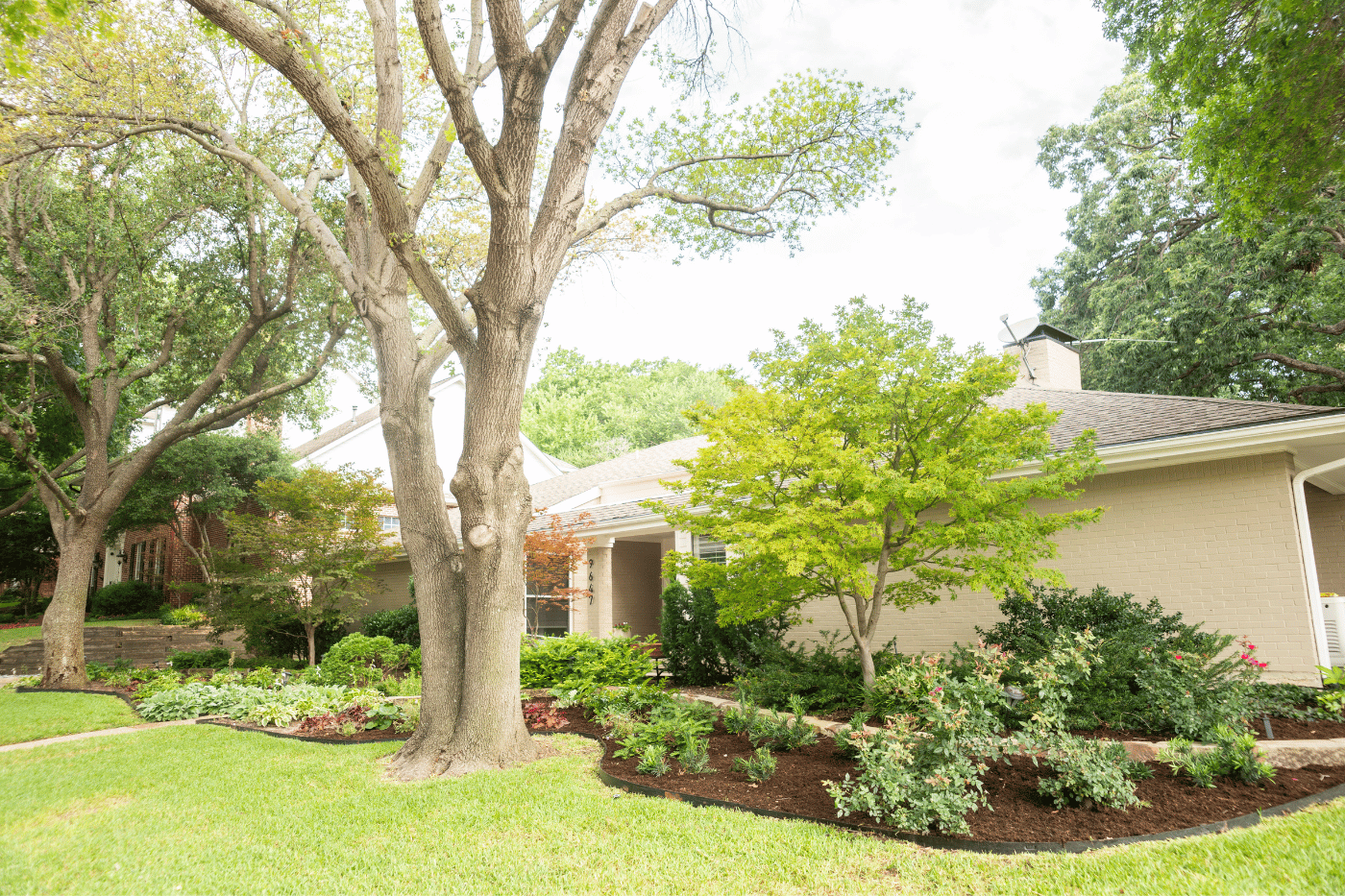 LandscaperDallas29.png