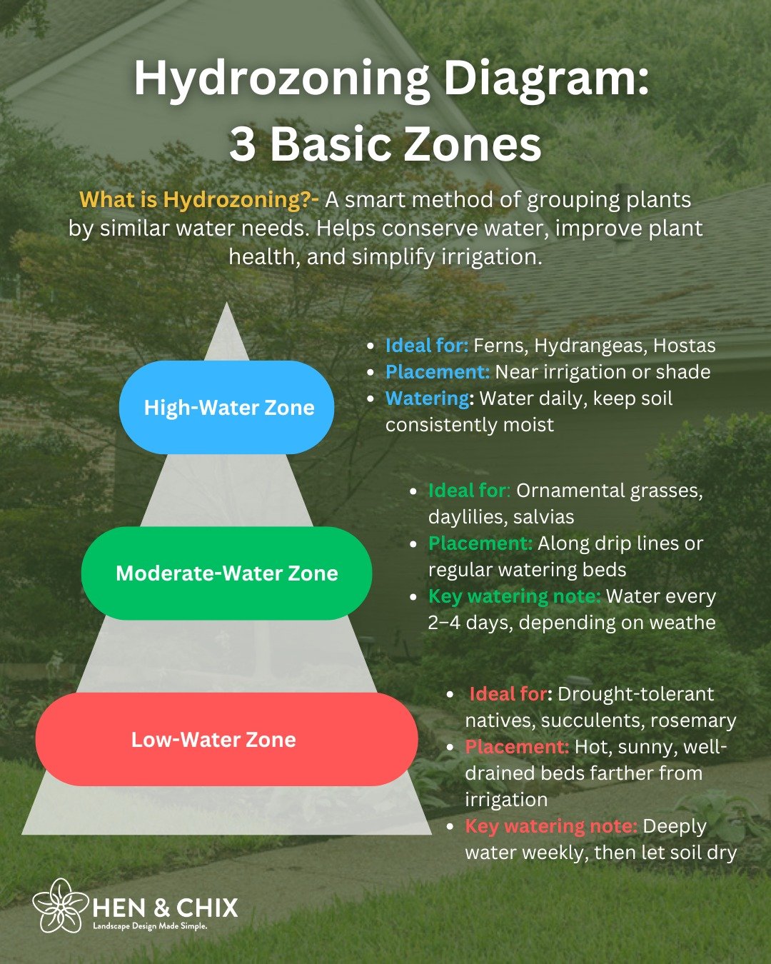 Water Once, Win Twice: Hydrozoning Made Simple 💧🌿

Want a healthier, low-maintenance landscape that saves water and looks great? Meet hydrozoning&mdash;the art of grouping plants by their water needs.

From lush ferns to drought-tough rosemary, pla