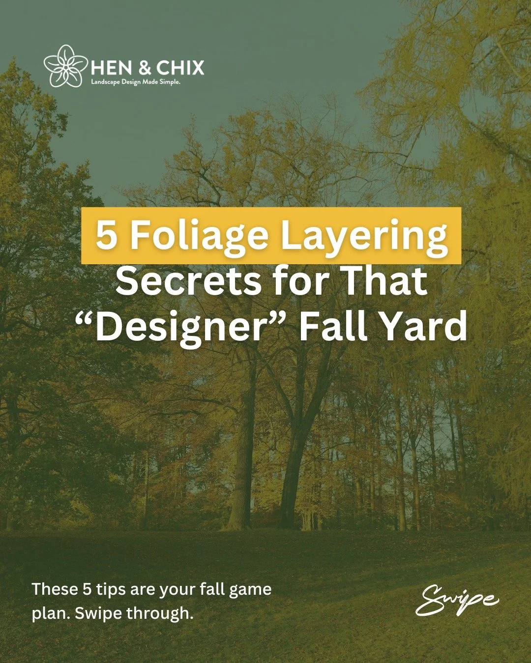 Ever wonder why some fall yards feel flat while others look like a cozy garden magazine cover? 🍁

It&rsquo;s not just about planting pretty things  it&rsquo;s how you layer them.

Here are 5 foliage layering tips we use in our Dallas landscape desig