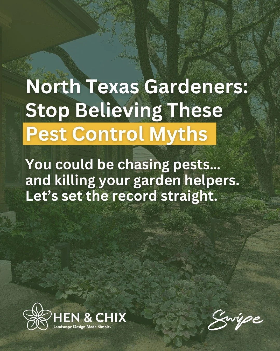 You could be killing the good guys.
Not every bug in your garden is the enemy.
In fact, some are your best defense against pests  if you let them do their job.

Here are 5 common pest control myths North Texas homeowners fall for and how to work with
