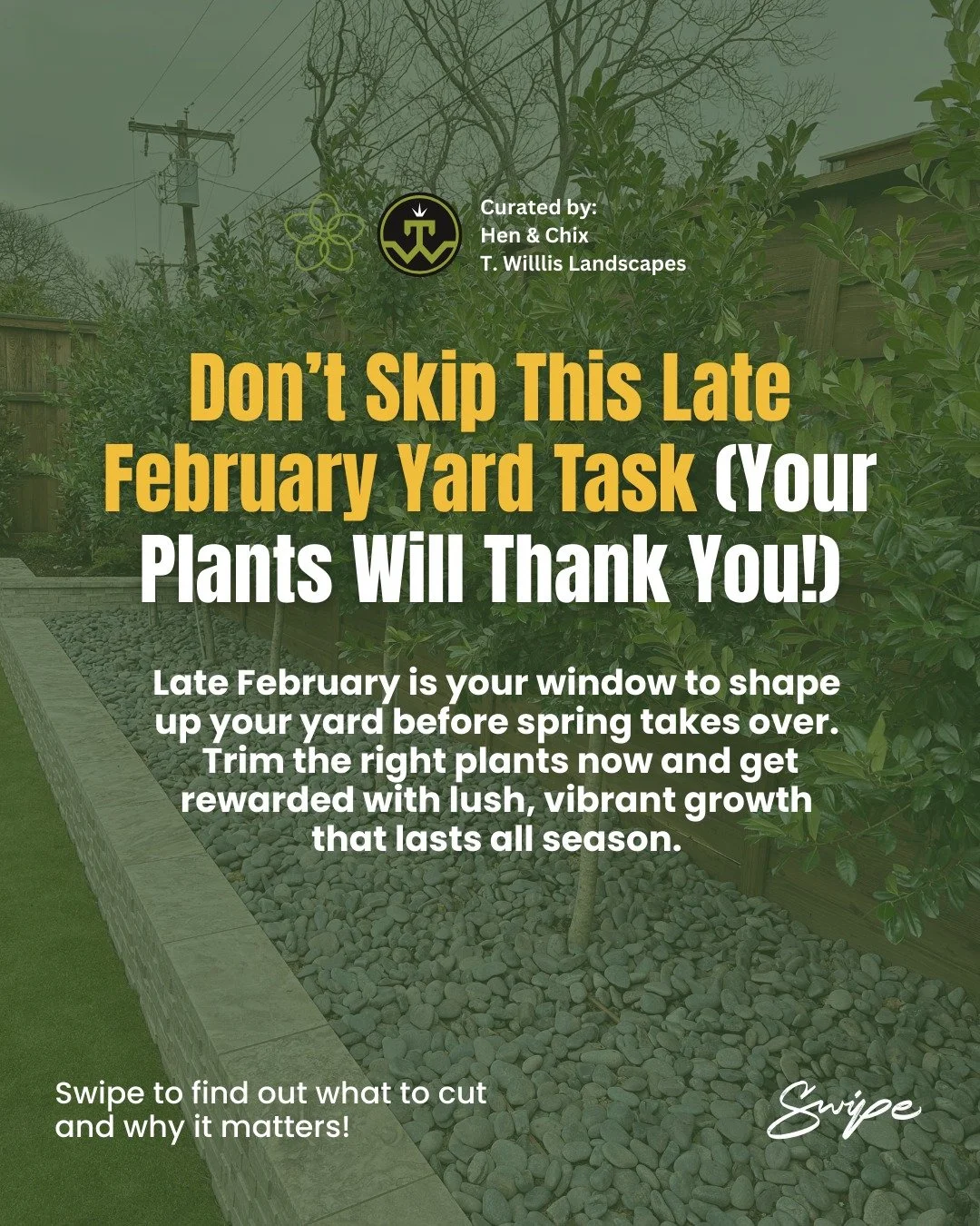 Late February to early March is one of the most important and most overlooked moments in your landscape.

This is when plants decide how they&rsquo;ll show up for spring.

Trim too late, and growth stays weak or messy. Skip it altogether, and plants 