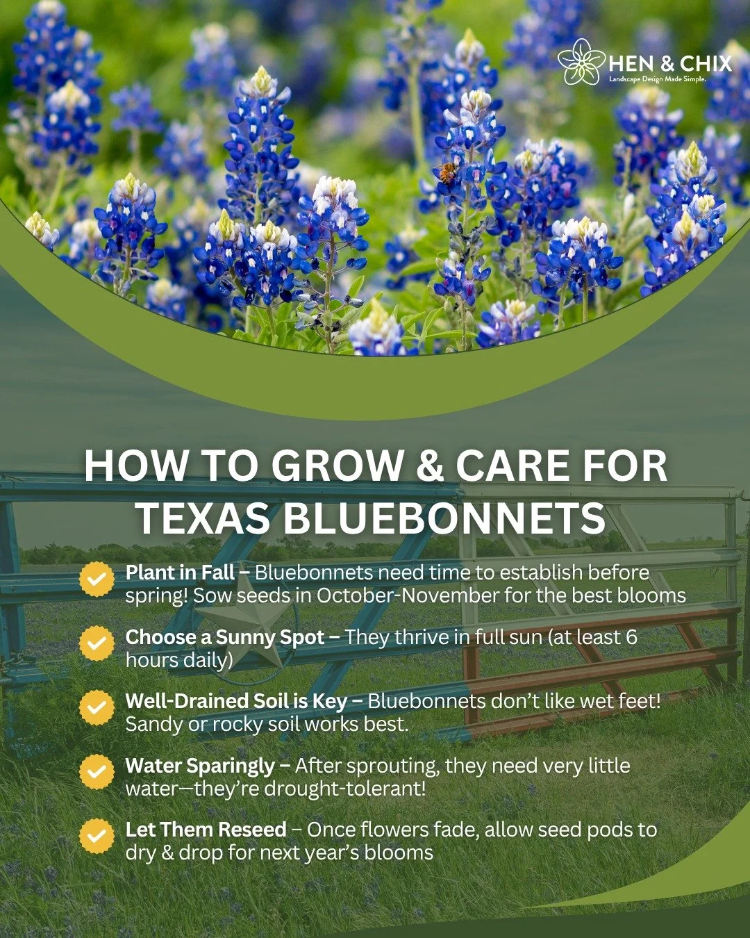Texas spring wouldn&rsquo;t be the same without bluebonnets blanketing the roadsidesand yes, you can grow them at home! 💙🌸 

Native, low-maintenance, and downright magical, these beauties bring pollinators and a sense of place to any garden.

Want 