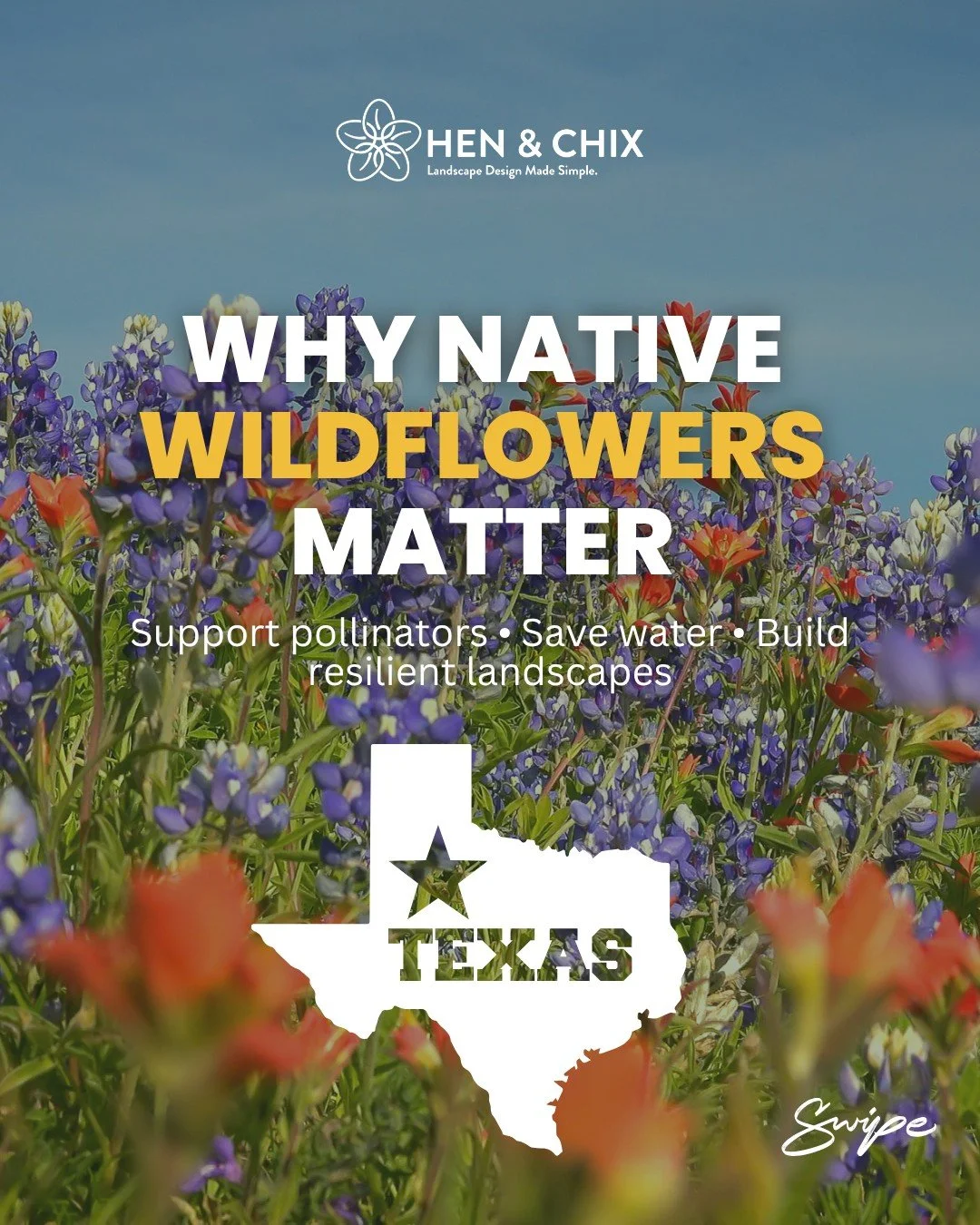 Why Native Wildflowers Belong in Your Garden 🌸

Texas-native wildflowers do more than add color they support pollinators, conserve water, and boost biodiversity in your landscape.

In this carousel, we&rsquo;re sharing 3 standout native wildflowers 