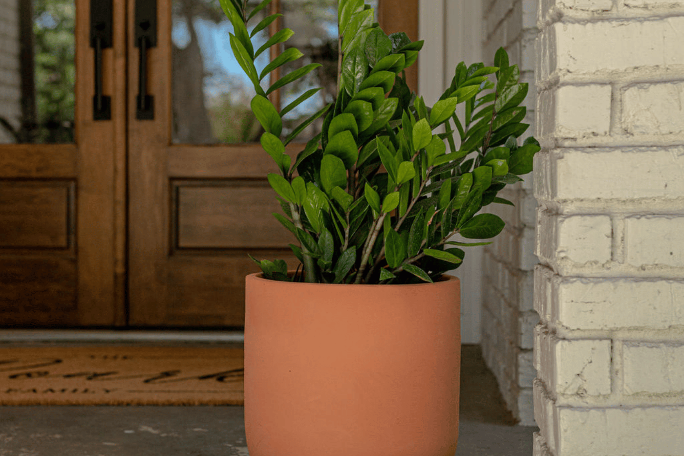 LandscaperDallas7.png