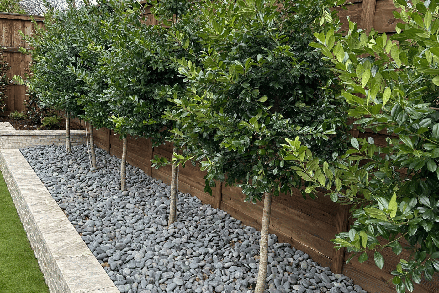 DallasLandscaping11.png