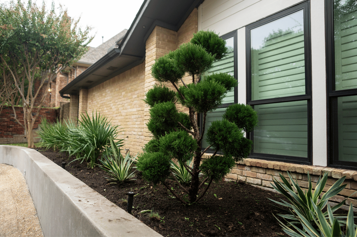 LandscaperDallas23.png