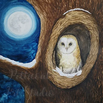 Night Owl