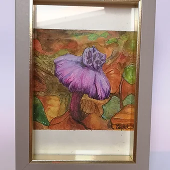 Amethyst Deceiver with Rose comb (2020)