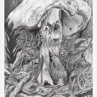 Destroying Angel Vs Destroying Slug