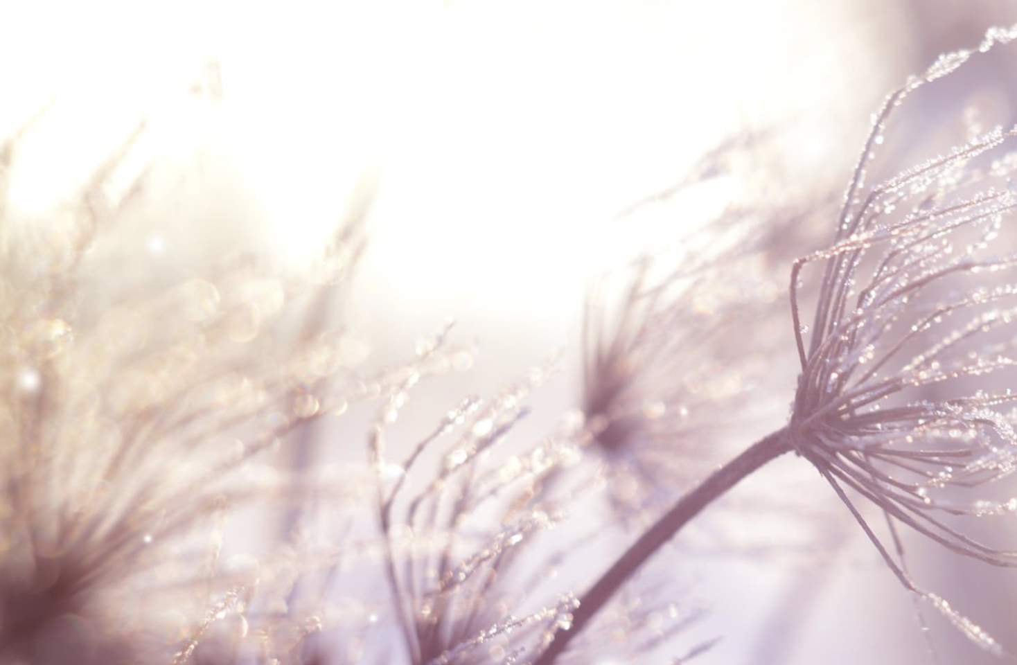 Why “Awareness” is Just the Beginning of Your Journey to Overcoming an Eating Disorder