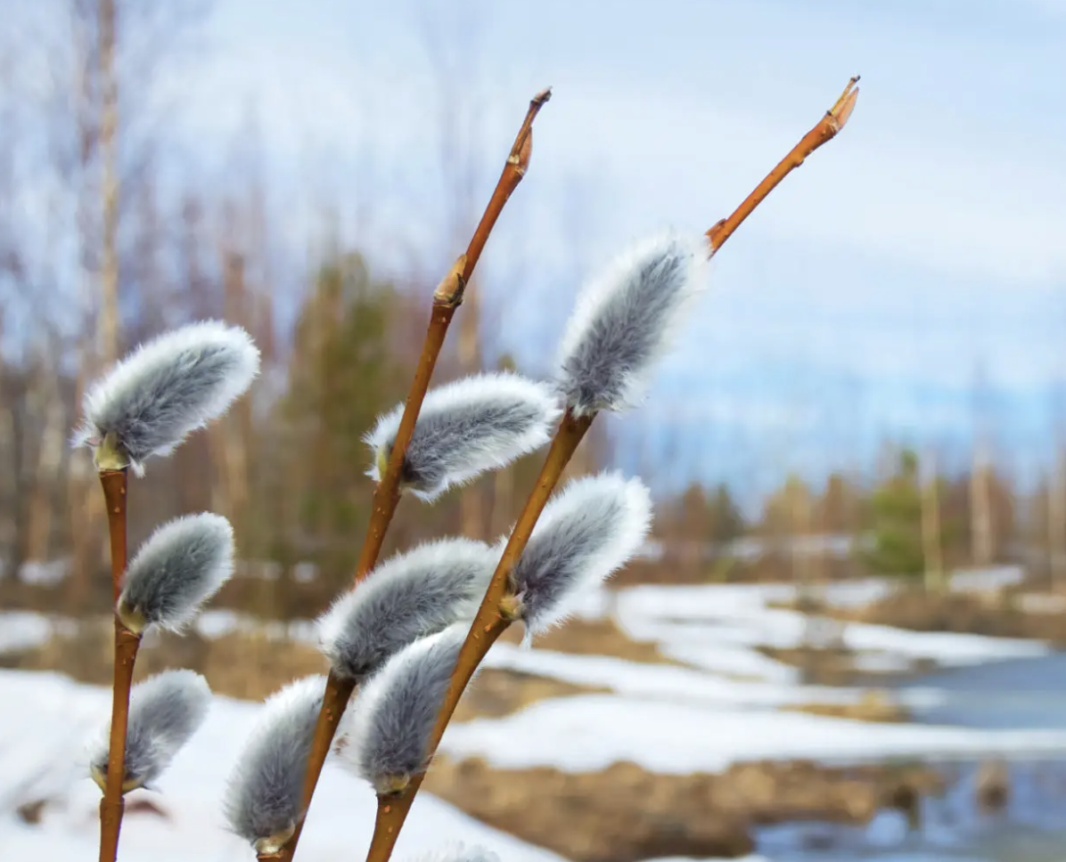 Recovery Isn't Linear: How to Handle Setbacks Without Starting Over