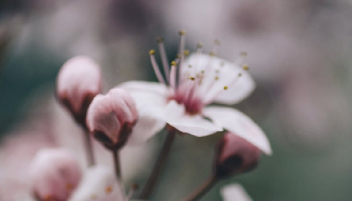 When Warmer Weather Triggers Body Anxiety: A Guide for Eating Disorder Recovery in Fairfield County