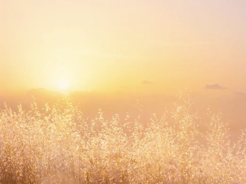The Space Between Eating Disorder and Recovered: Quasi-Recovery