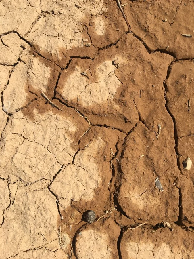 Dry earth_web.JPG