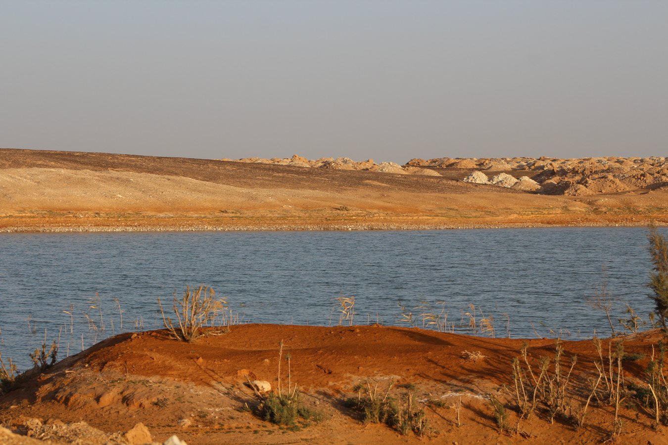 Seasonal stream_web.JPG