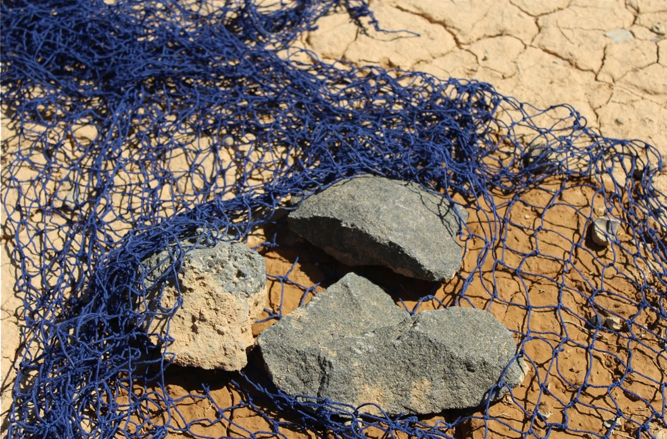 Net of Curiosity (Detail #6)_web.jpg