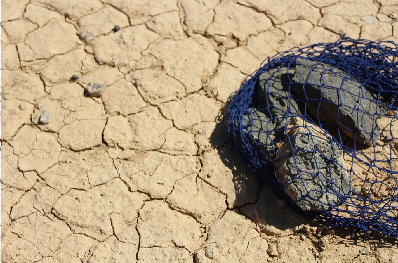 Net of Curiostity (Detail #4)_web.jpg