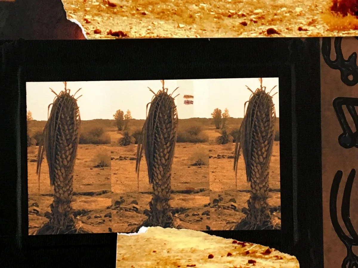 Three palms_web.jpg