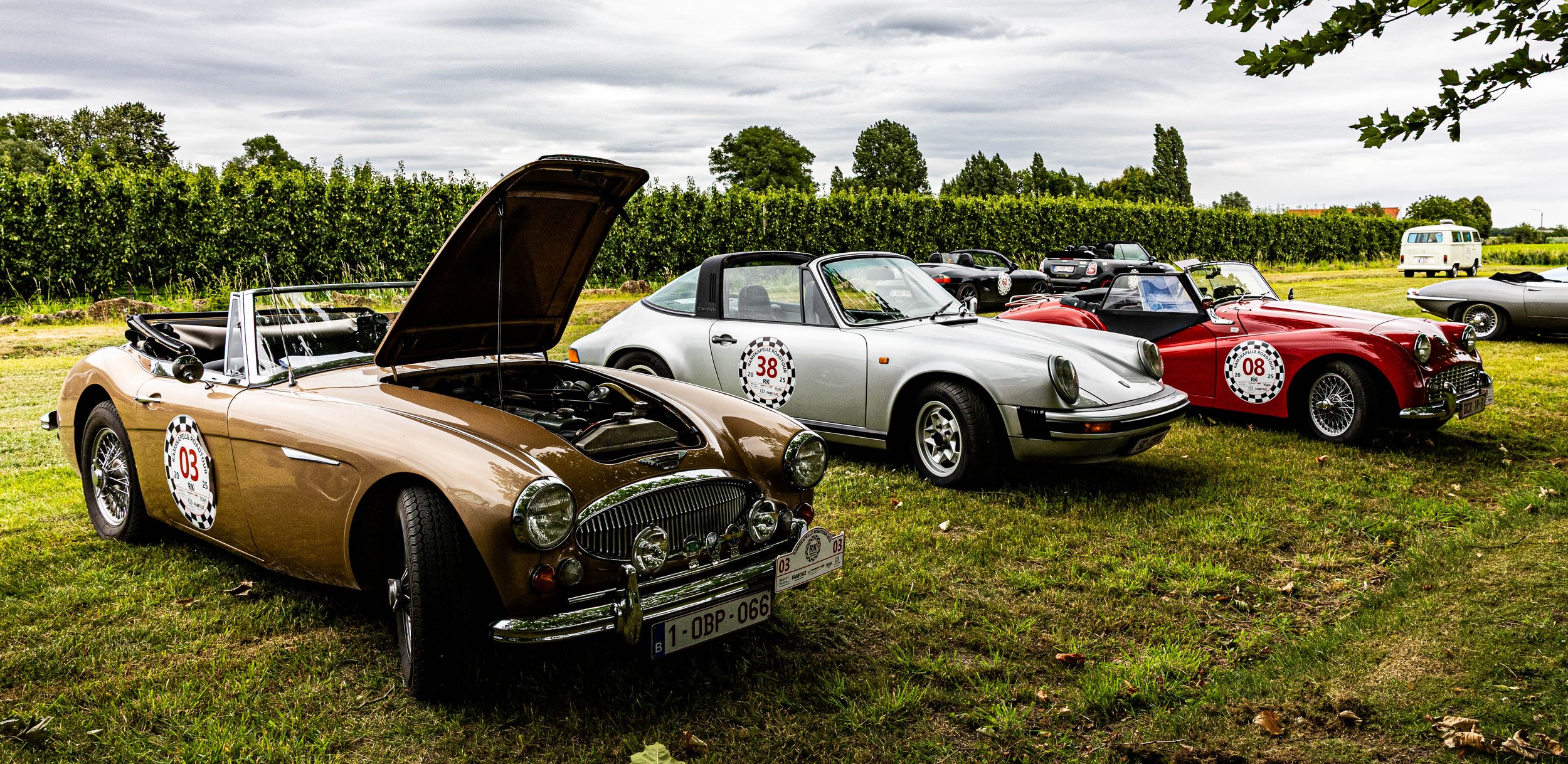 Rally-208.jpg