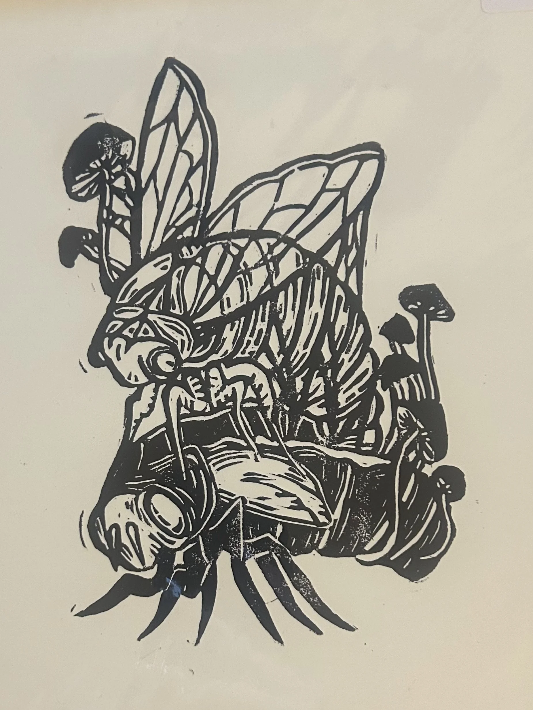 Ecdysis.jpeg