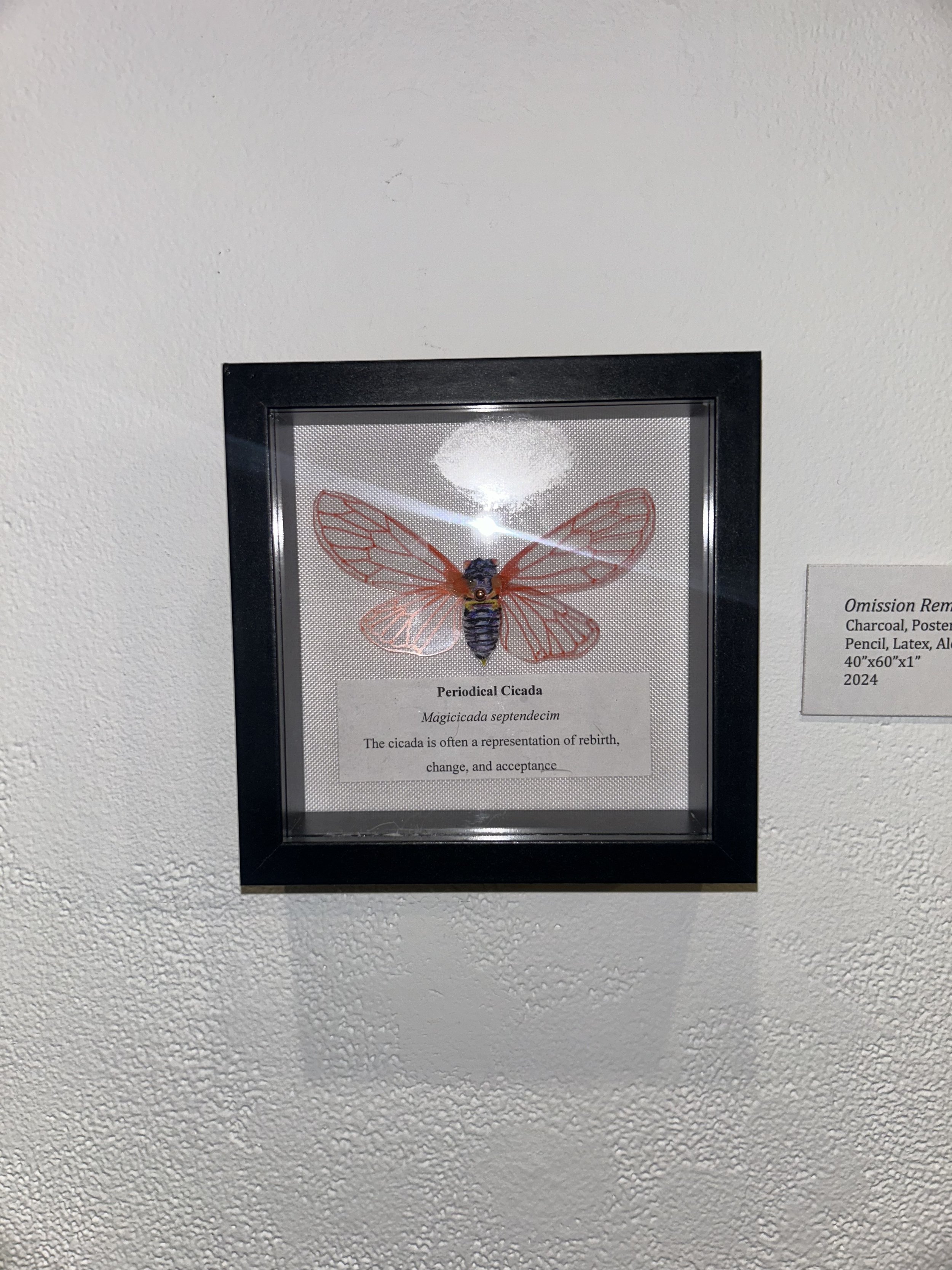 Omission Remission (Cicada), 2024, Colored Pencil, Sticker Paper, Computer Paper, Marker, Clear Mylar, 5”x5”x2”