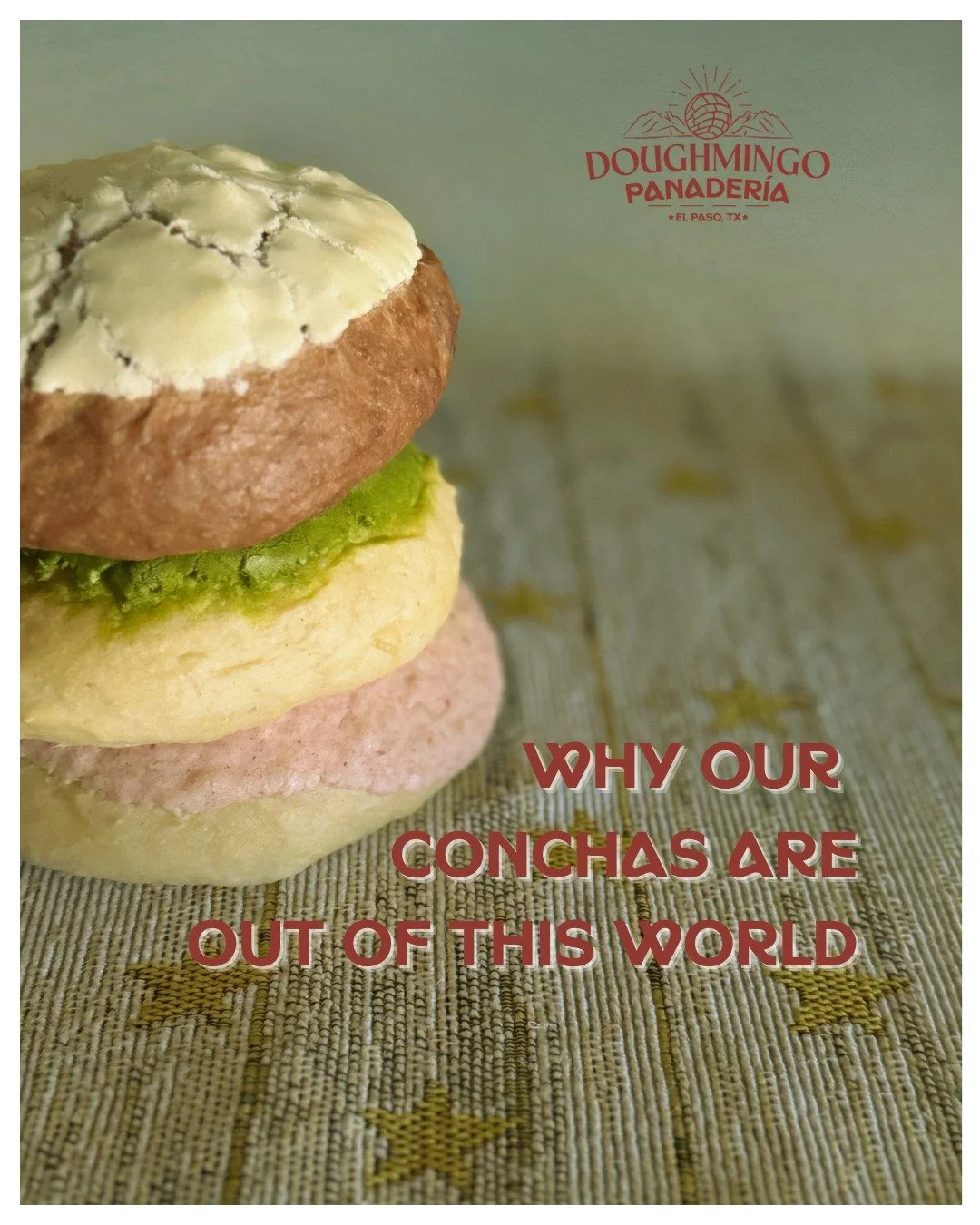 Pillowy sweet bread combined with a crunchy topping that's unlike any sourdough you've had before. Order our Limited Edition Peppermint Chocolate Concha before it's gone! #sourdough #elpaso #bakery #smallbusiness #concha #esponja #panaderia