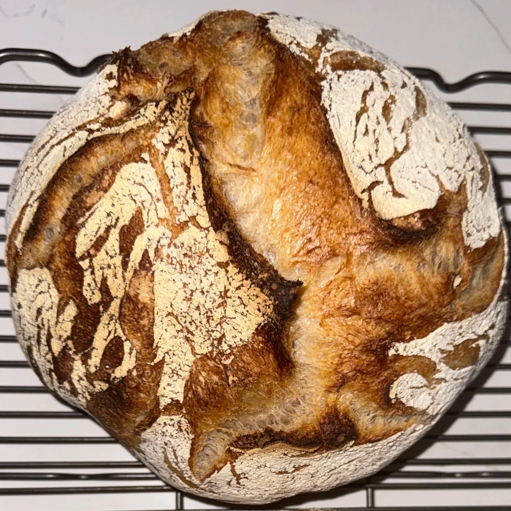 Sourdough Loaf