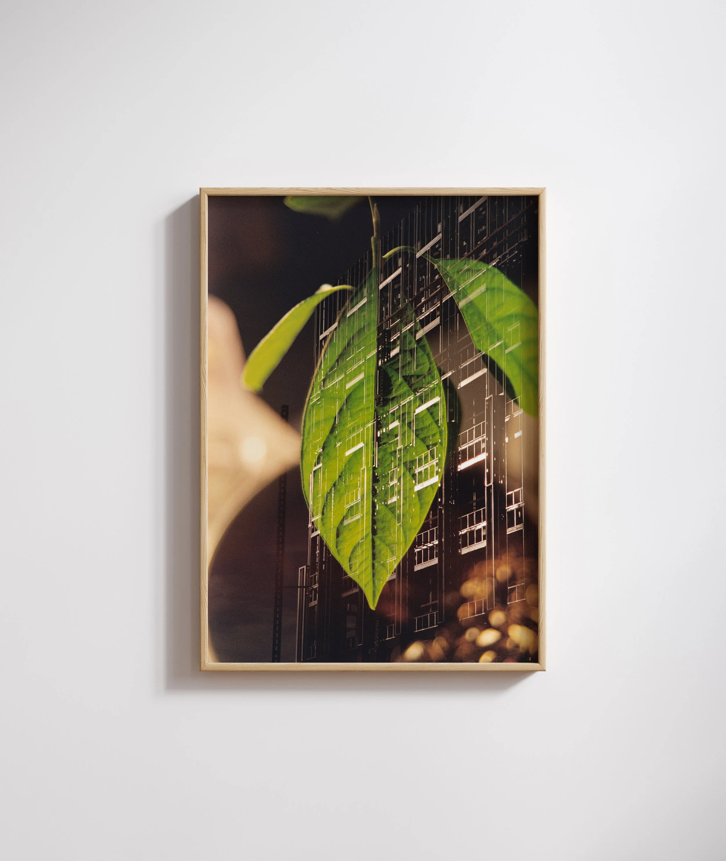 double exposure mock up.jpg