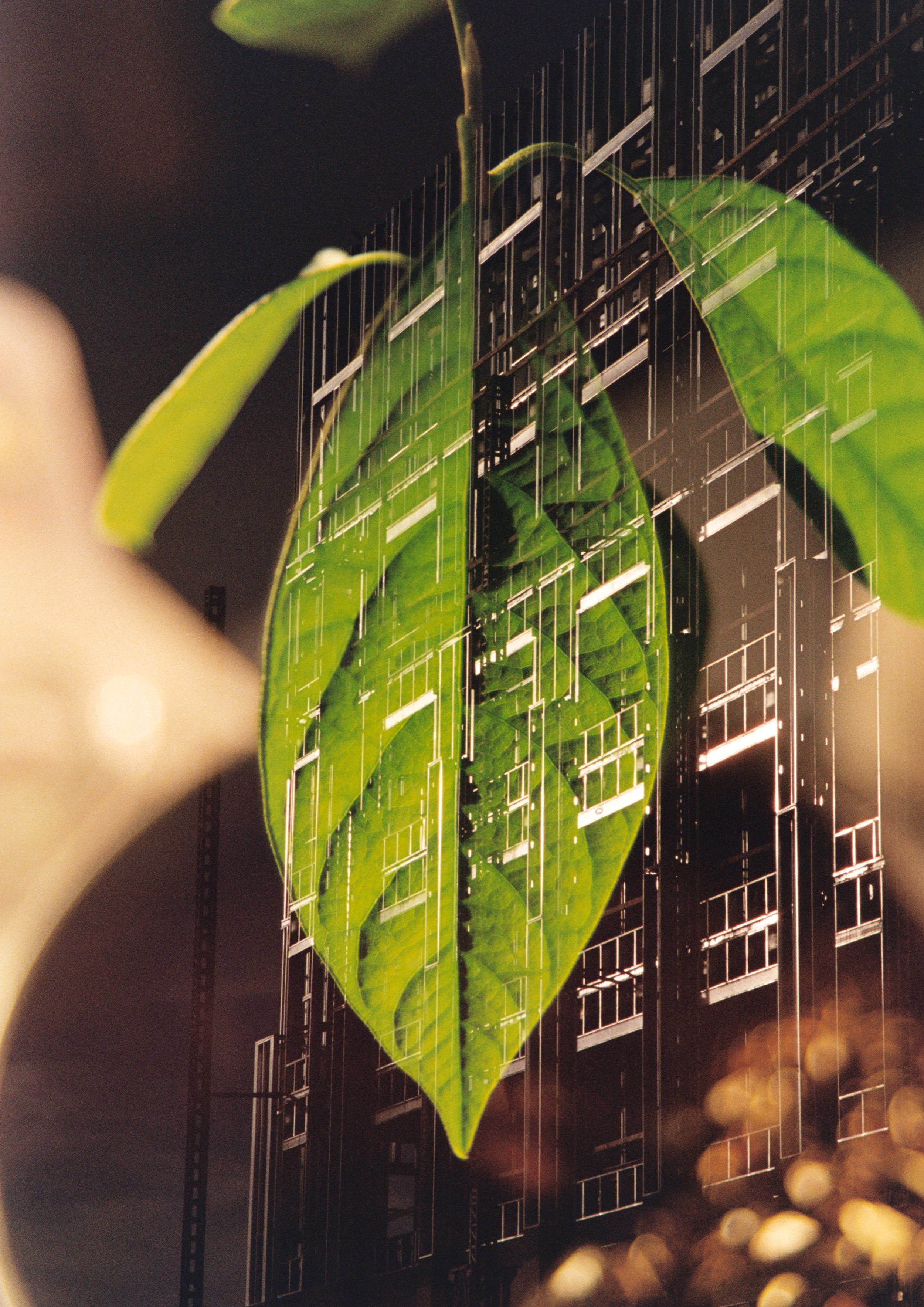 04082026 - Double Exposure