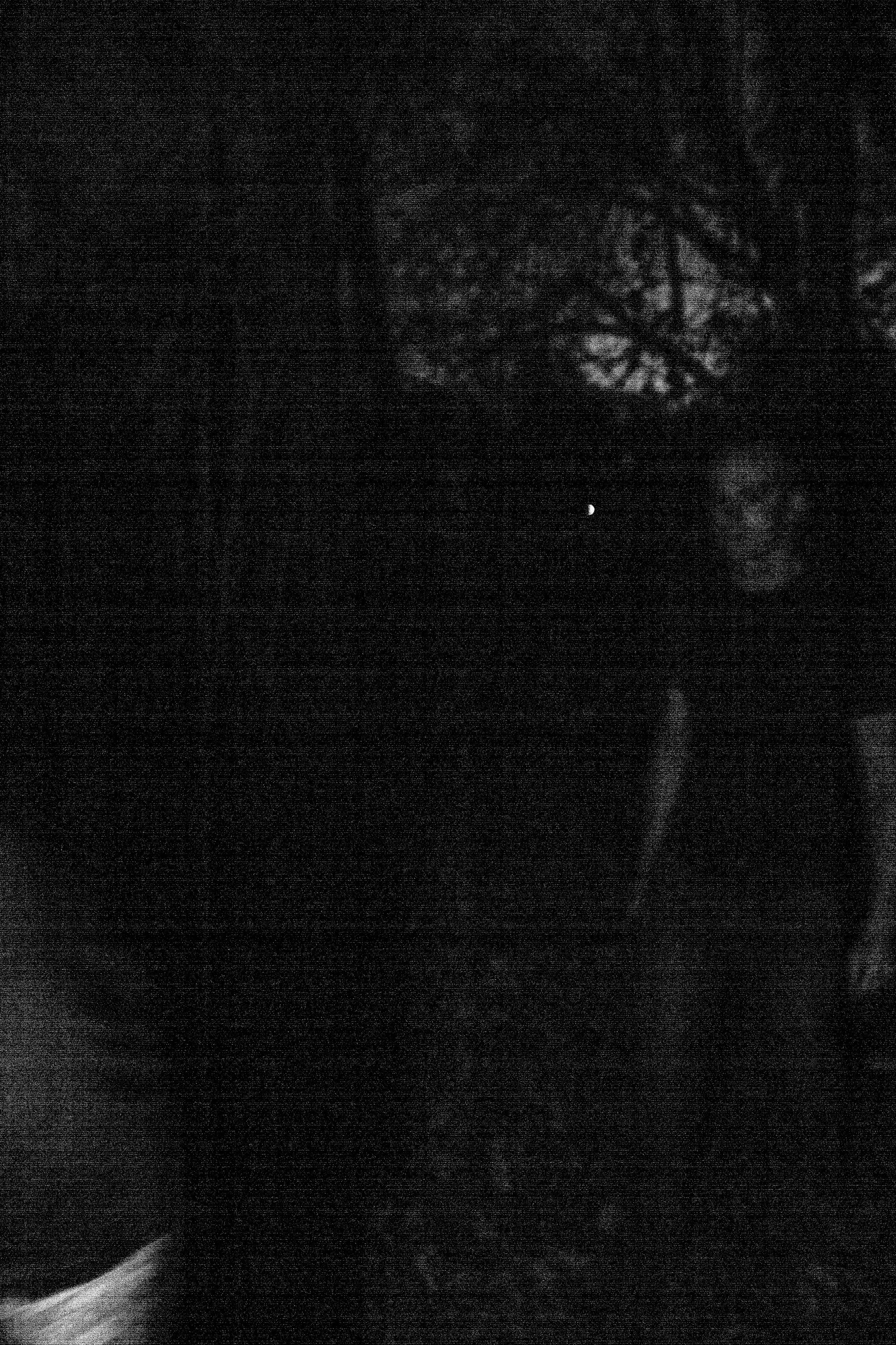 WELCOME DEATH! EPICURUS NOV '23-39.jpg