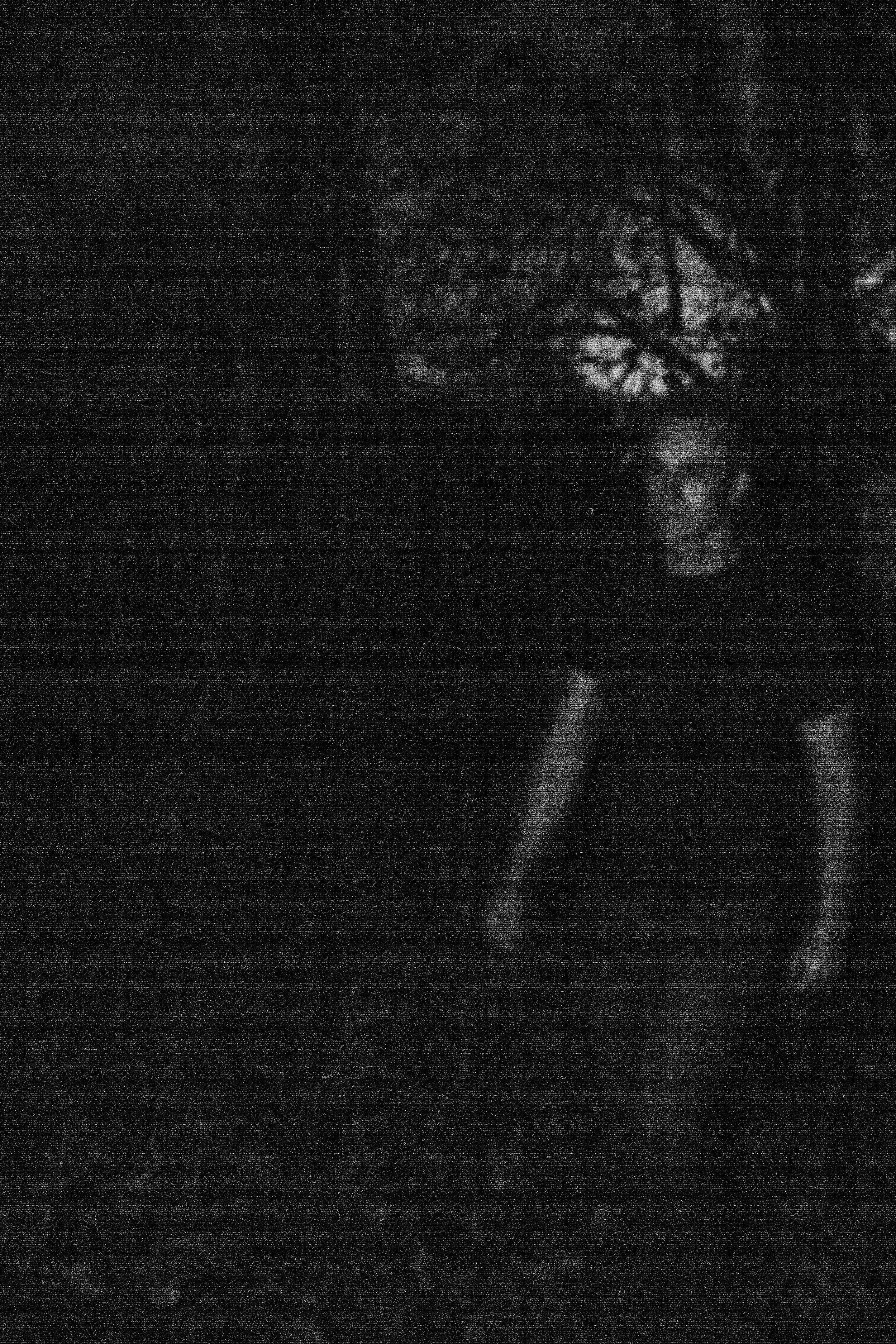 WELCOME DEATH! EPICURUS NOV '23-38.jpg