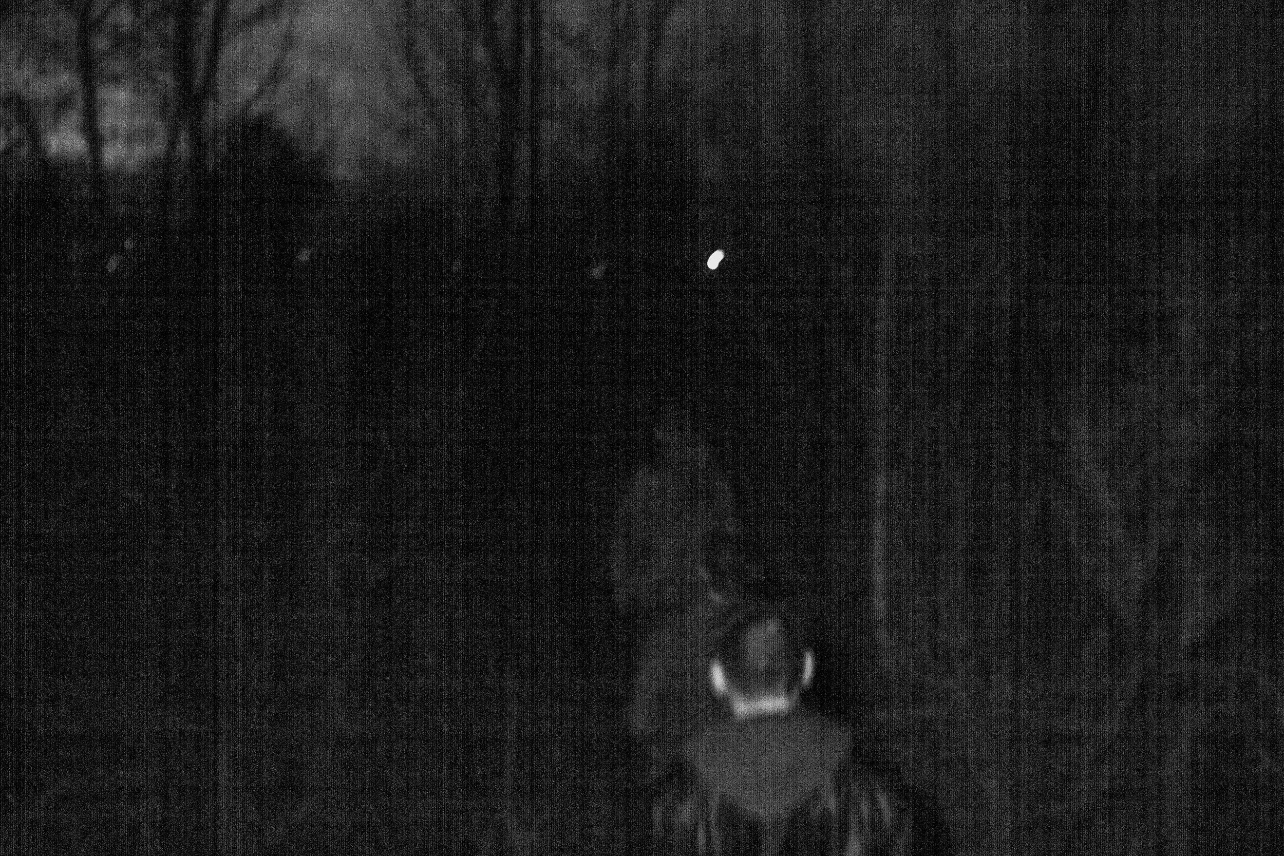 WELCOME DEATH! EPICURUS NOV '23-01.jpg