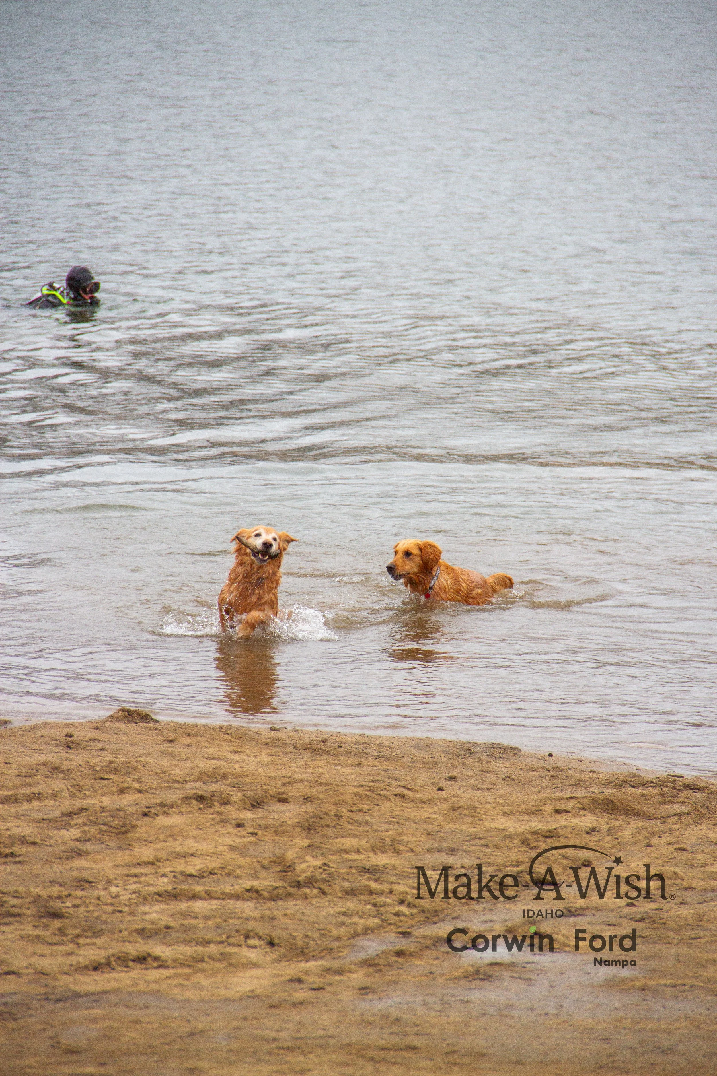 Make-A-Wish 2023 Polar Bear Plunge -04.jpg
