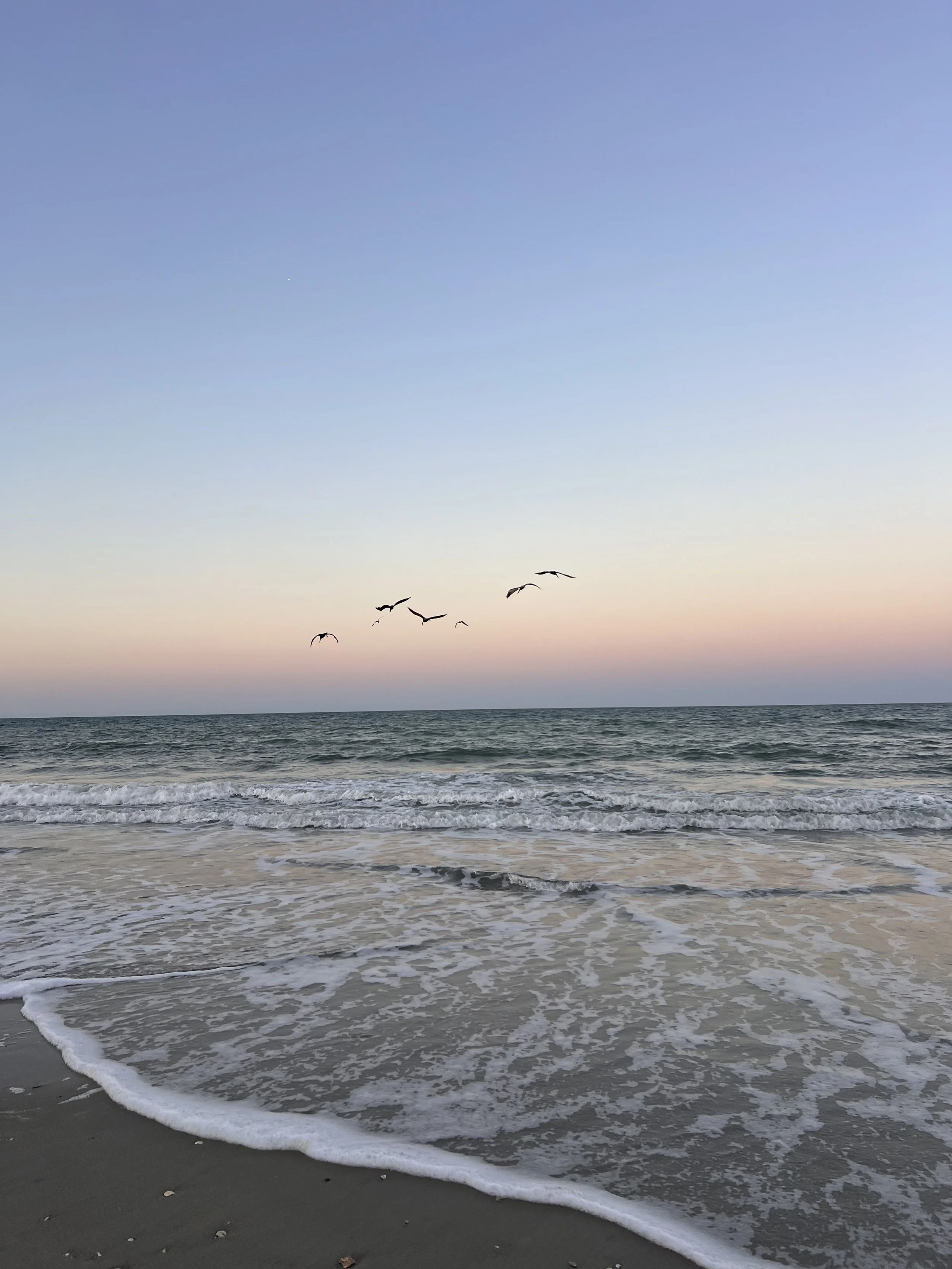 Seaside view at sunset or sunrise with a calm ocean, gentle waves, a pastel sky, and a flock of birds flying over the water. Strategic Communication and Marketing on Florida's Space Coast/Brevard County.