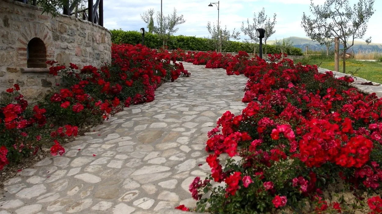 CASALE-COLLE-MURA261.jpg